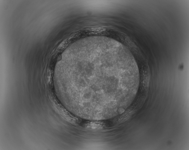 X0000115580758200912081025