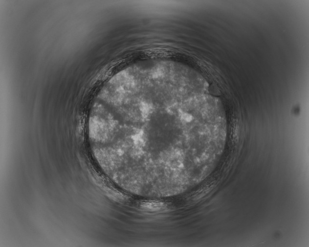 X0000115580759200912081025