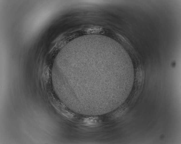 X0000115580761200912081025