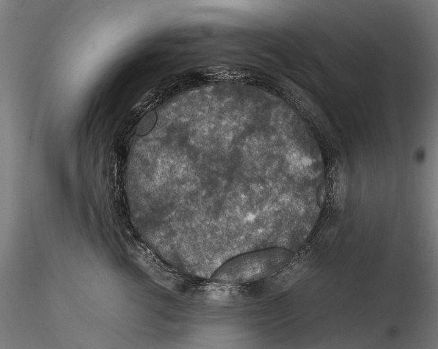 X0000115580762200912081025