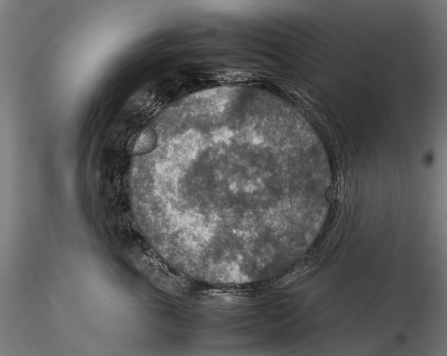 X0000115580763200912081026