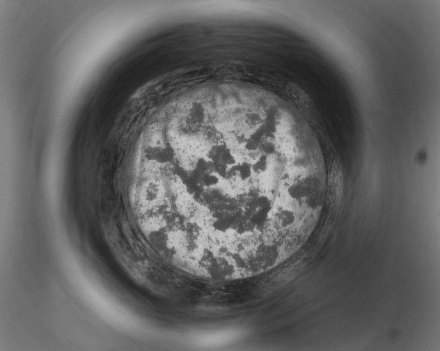 X0000115580765200912081026