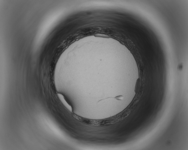 X0000115580766200912081026