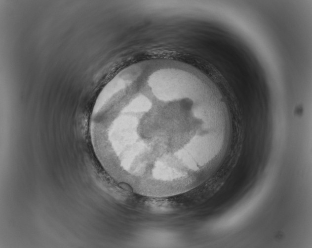 X0000115580767200912081026