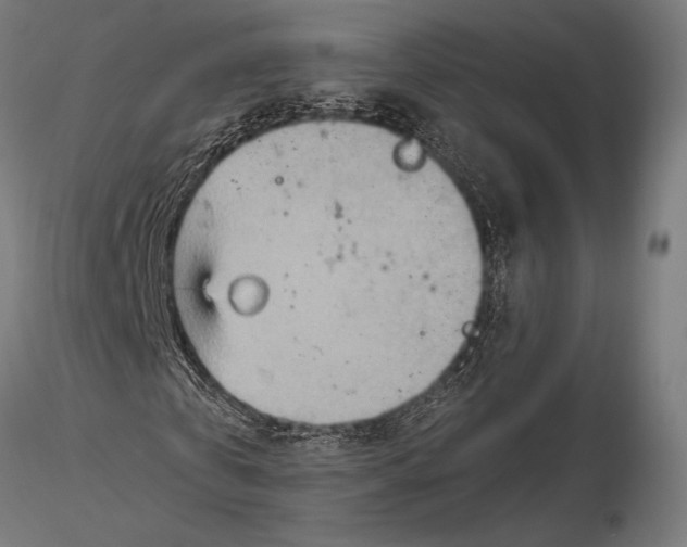 X0000115580769200912081025