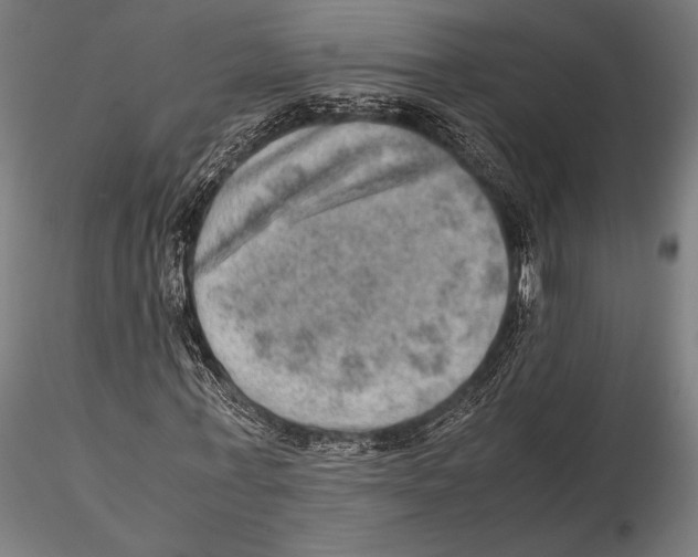 X0000115580771200912081025