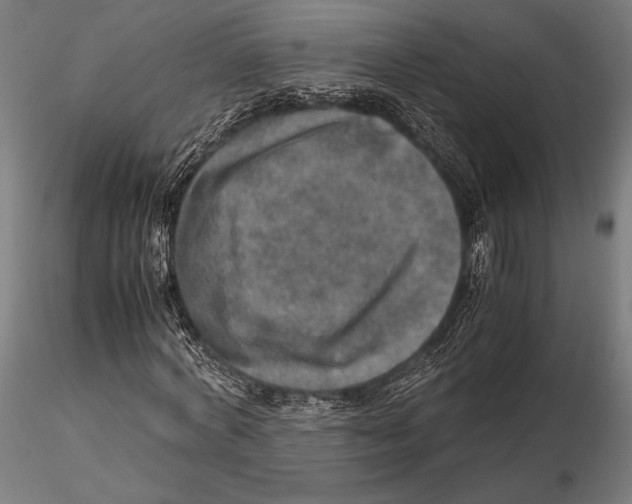 X0000115580772200912081025