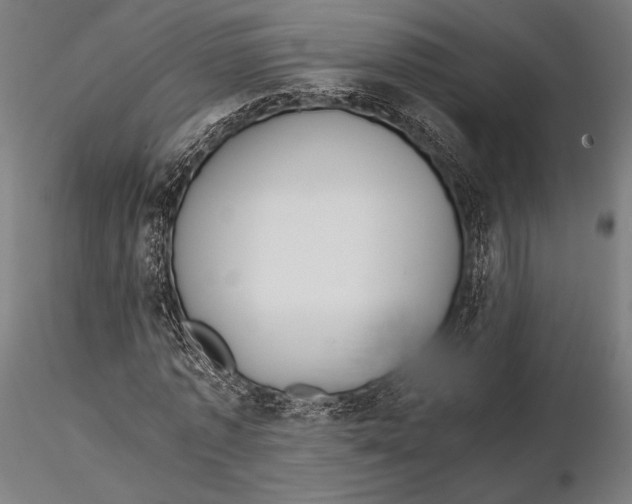 X0000115580773200912081025