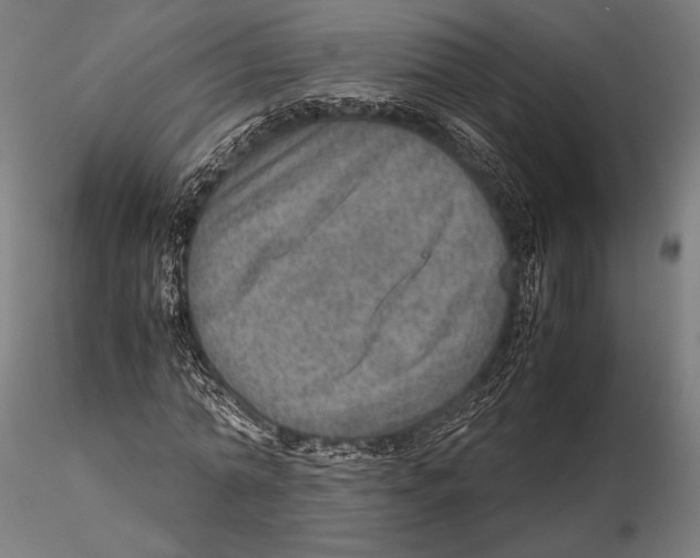 X0000115580774200912081025