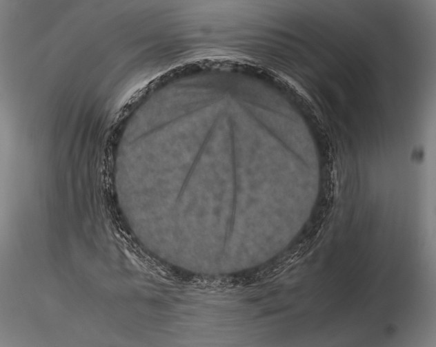 X0000115580775200912081025