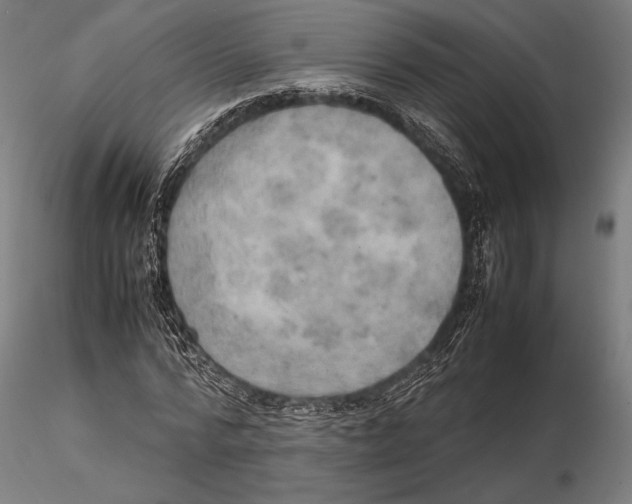 X0000115580776200912081025