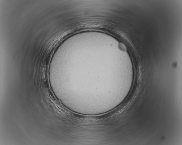 X0000115580777200912081025