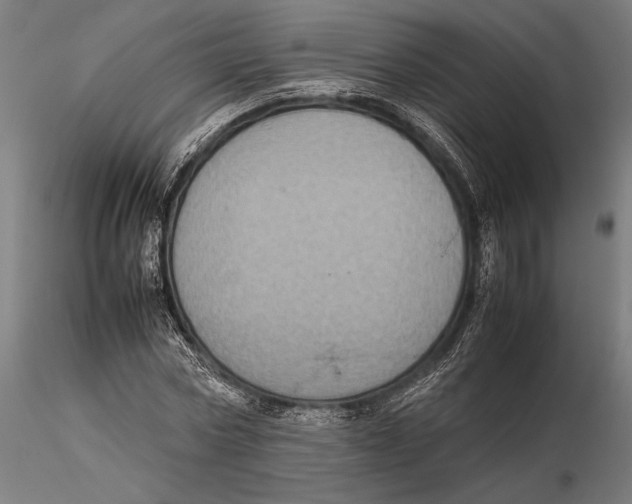 X0000115580778200912081025