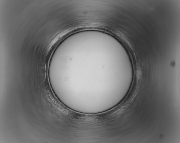 X0000115580781200912081025