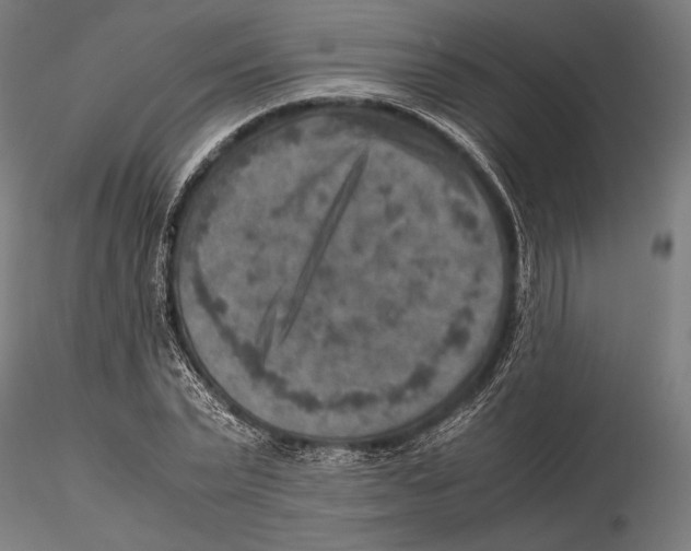 X0000115580783200912081025