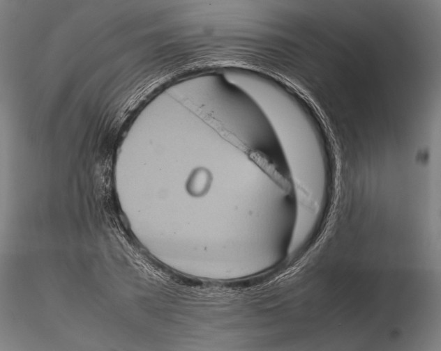 X0000115580785200912081025