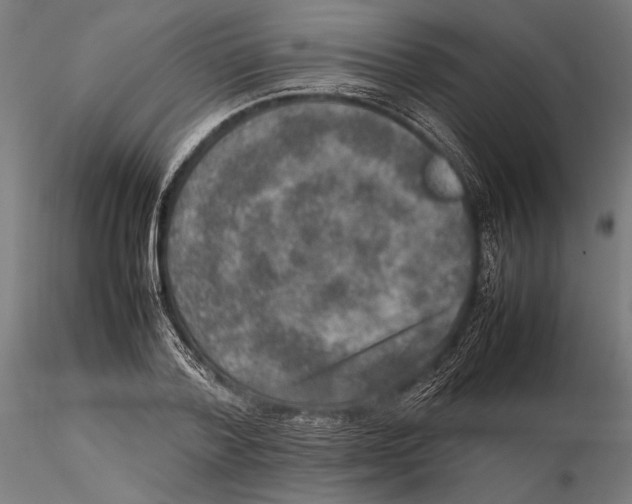 X0000115580788200912081025