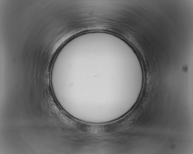 X0000115580789200912081024