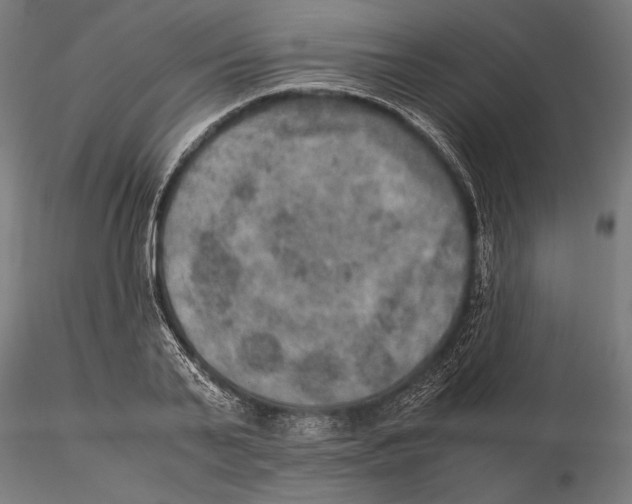 X0000115580791200912081024