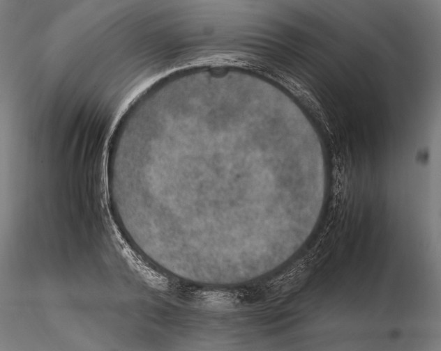 X0000115580792200912081024