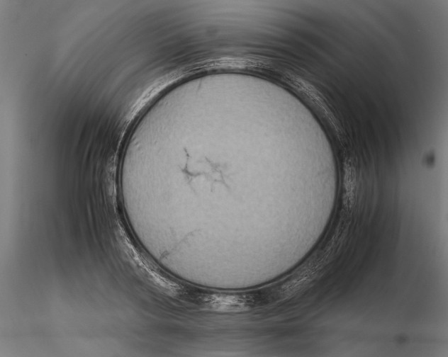 X0000115580794200912081024