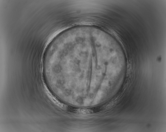 X0000115580795200912081024