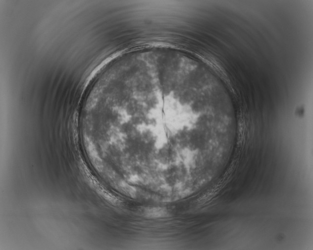 X0000115580798200912081024