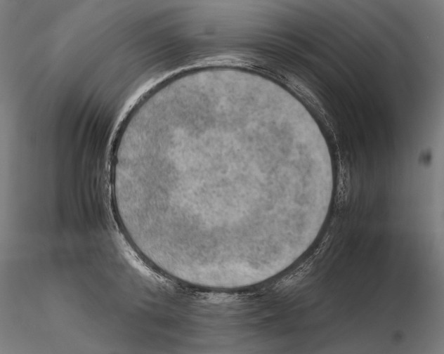 X0000115580800200912081024