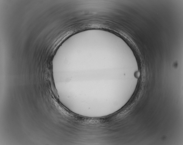 X0000115580801200912081024