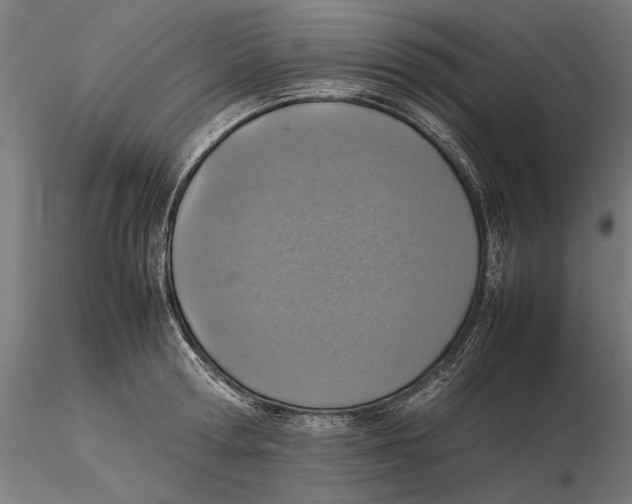 X0000115580802200912081024