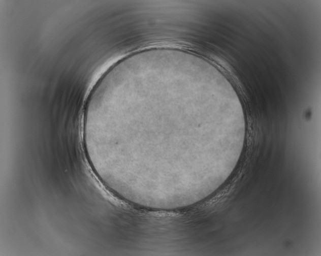 X0000115580804200912081024