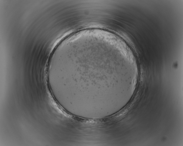 X0000115580806200912081024