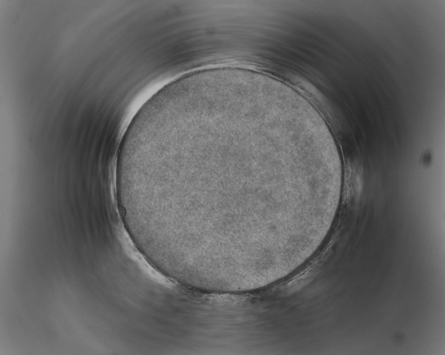 X0000115580812200912081024