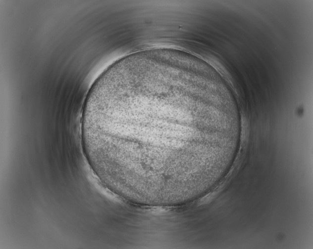 X0000115580814200912081024