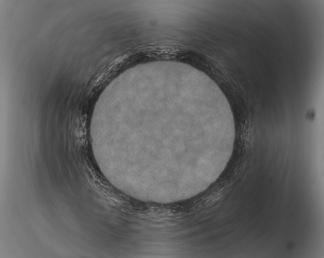 X0000115580818200912081023