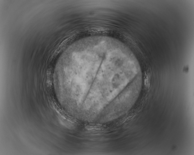 X0000115580819200912081023