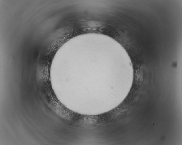 X0000115580820200912081023