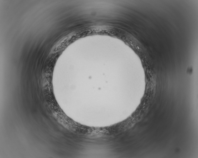 X0000115580824200912081024