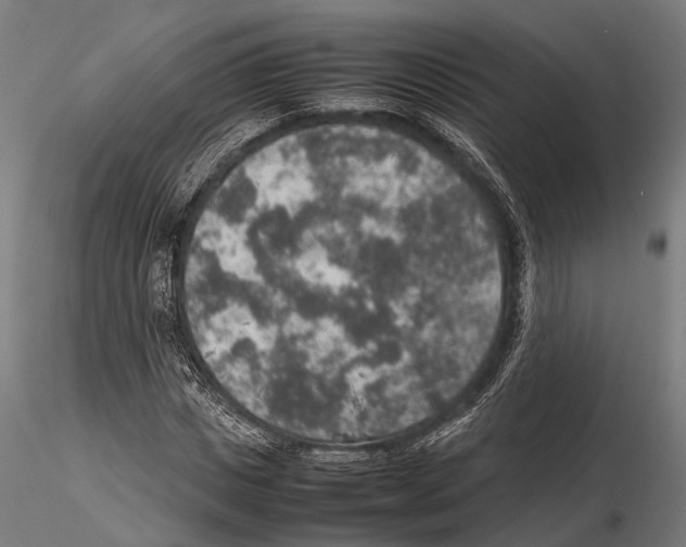 X0000115580825200912081024