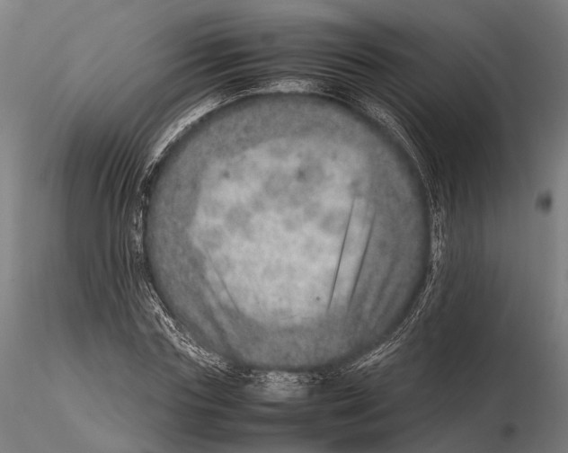 X0000115580827200912081024