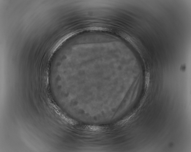 X0000115580829200912081024