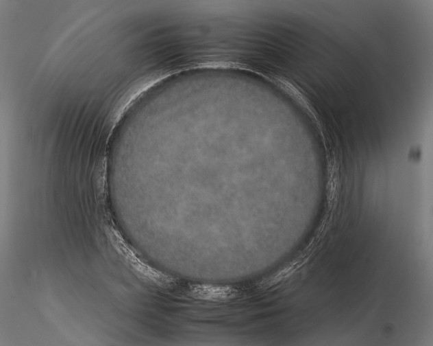 X0000115580831200912081024