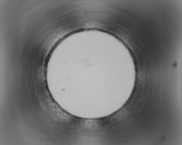 X0000115580832200912081024