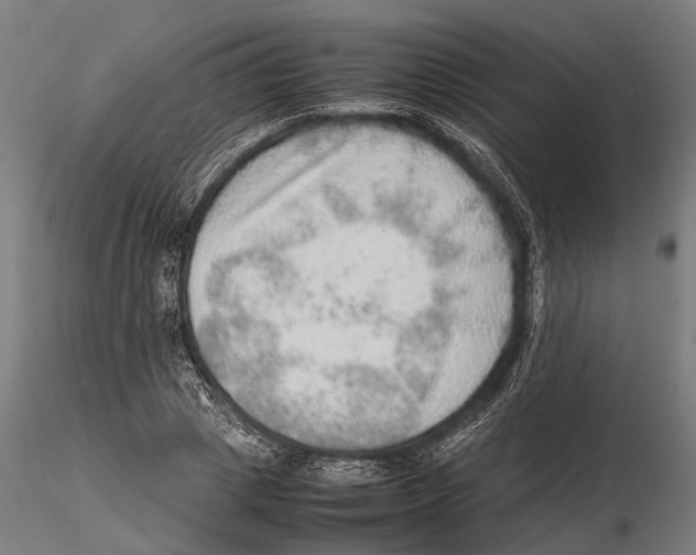 X0000115580833200912081024