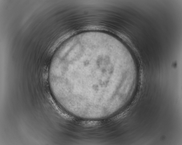 X0000115580841200912081024