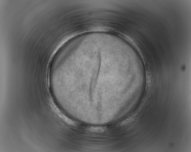 X0000115580843200912081024