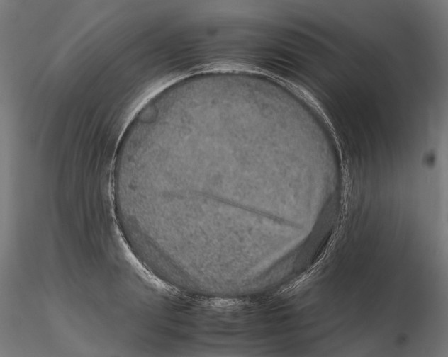 X0000115580847200912081024