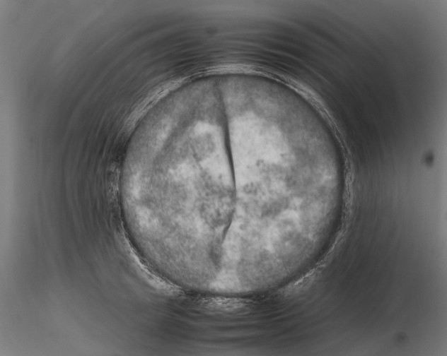 X0000115580849200912081024