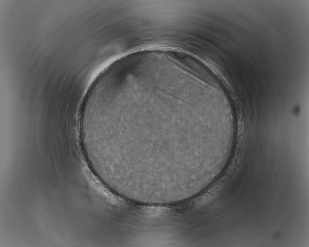 X0000115580854200912081024