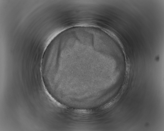 X0000115580855200912081024